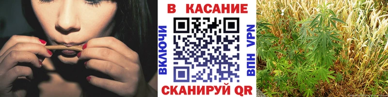 Купить закладку Пермь Марихуана Меф ГАШИШ