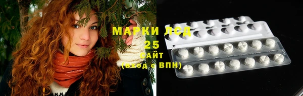 PSILOCYBIN Алзамай