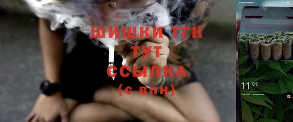 гидра Алексеевка