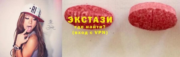 СК Ельня