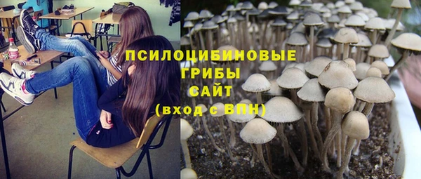 PSILOCYBIN Алзамай