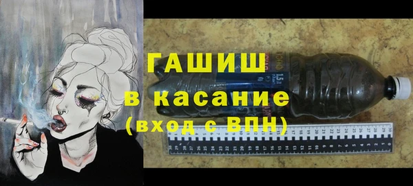гашик Каменка