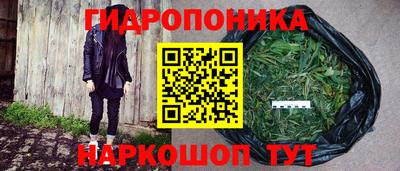 2c-b Шебекино