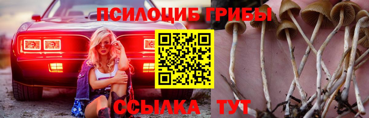 Псилоцибиновые грибы Magic Shrooms Пермь