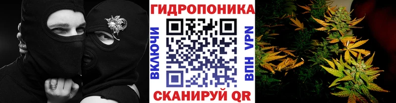Бошки Шишки Bruce Banner Пермь